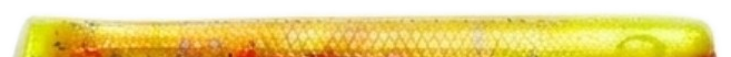 Sleek Sunburst 4" DR Swim Bait