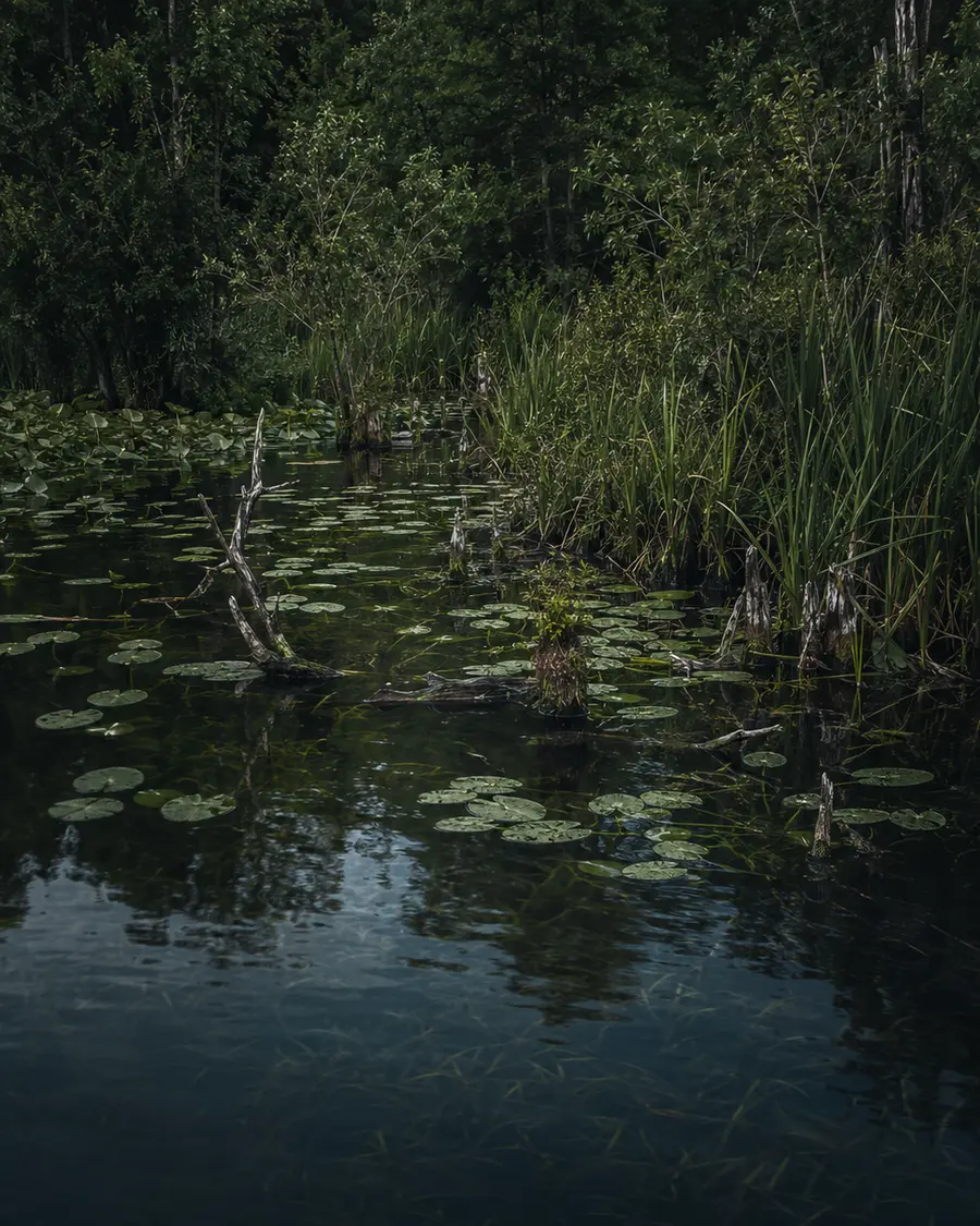 heavy cover fishing conditions