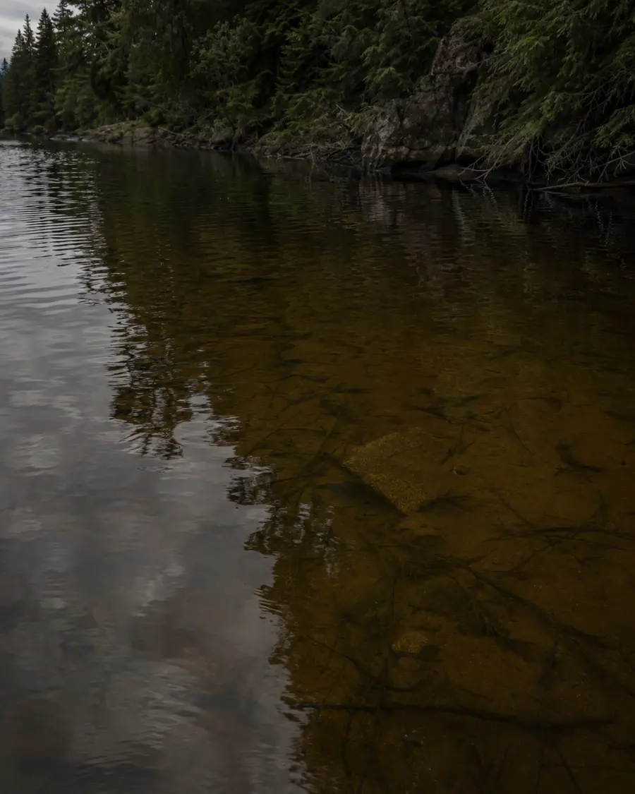 stained water fishing conditions